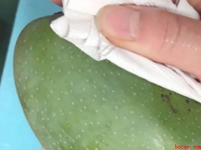 芒果怎么放容易熟