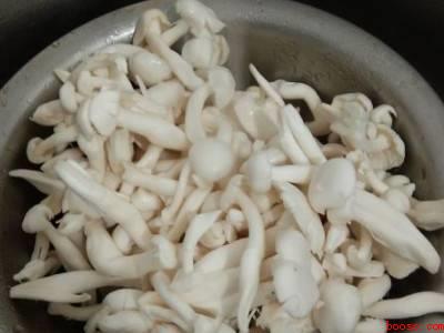 白雪菇怎么做好吃