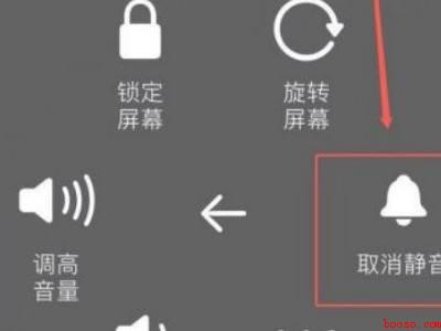 苹果手机游戏没有声音怎么设置