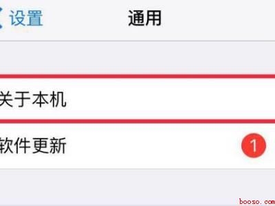 怎么看手机是国行还是港版的（演示机型:Iphone12）