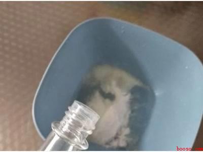 下水道口的小飞虫怎么处理