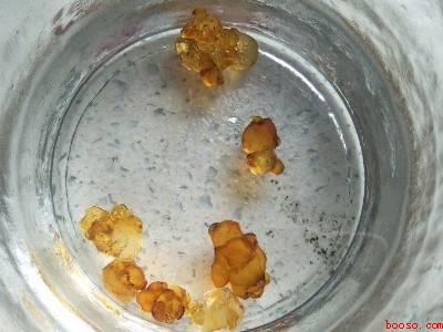 杨梅做菜怎么做好吃