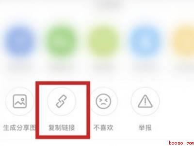 小红书怎么复制链接到浏览器（演示机型:Iphone 13）
