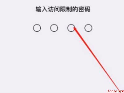 苹果手机有应用锁吗