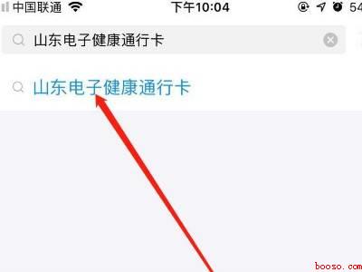 山东的健康码怎么弄(演示机型:Iphone 12)