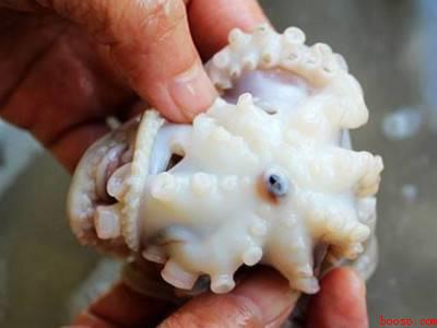 章鱼怎么清洗处理