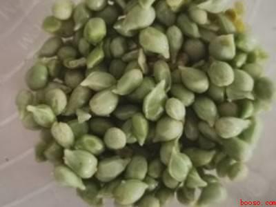 水果酒怎么酿制