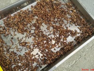 茄子晒干怎么晒法