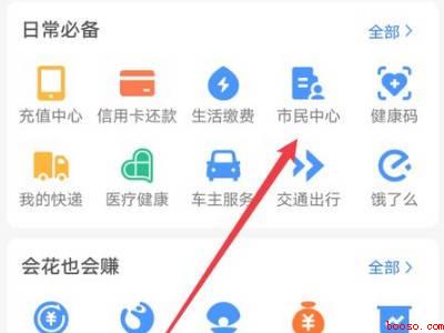 怎么看打疫苗记录（演示机型:Iphone 12）