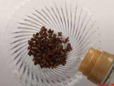 小黑蚊子怎么驱除