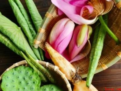 荷花可以做哪些菜