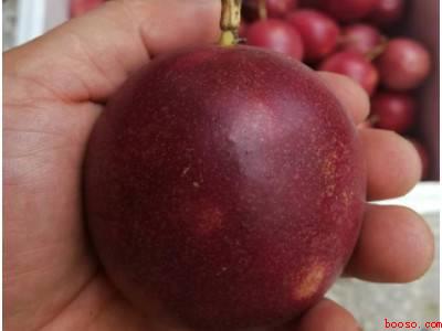 百香果是怎么吃的（百香果是怎么吃的具体操作步骤）