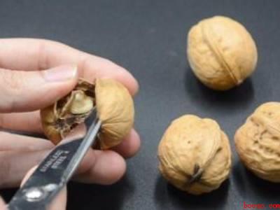 怎样判断核桃已不能吃