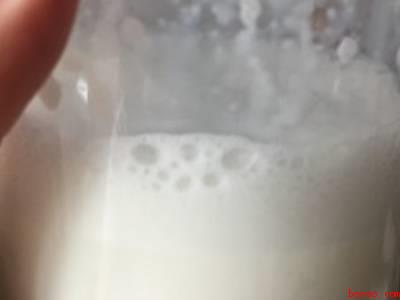 手动打奶泡的简易方法