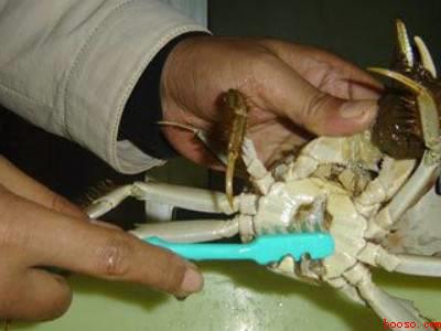 螃蟹要怎么清洗
