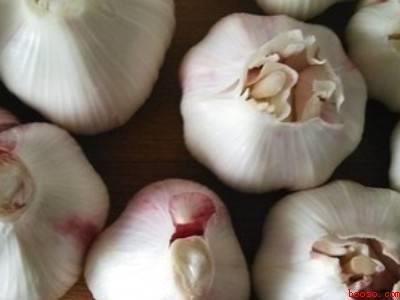 怎样腌醋蒜