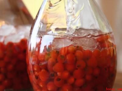 红豆杉泡酒的正确方法