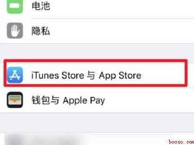 苹果12如何用流量更新系统