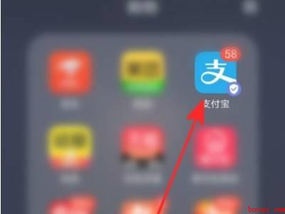 支付宝卡券在哪里看（演示机型:Iphone 12）