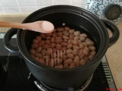 木菠萝籽怎么煮