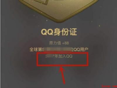 怎么看qq注册了几年（演示机型:Iphone 12）