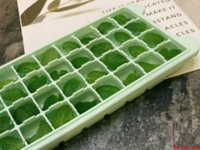 新鲜薄荷叶怎么长期保存