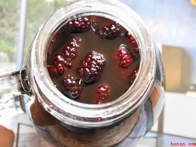 桑葚怎么发酵成酒