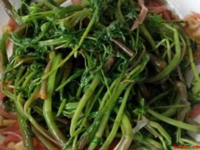 小叶芹怎么做好吃