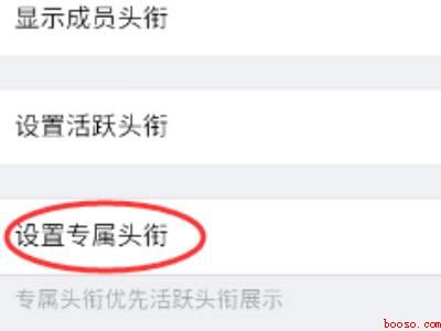 qq群头衔怎么加特效（演示机型:Iphone 12）