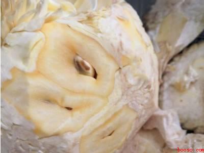 菠萝蜜怎么削皮小窍门