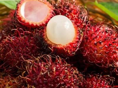 红毛丹果核膜怎么弄掉