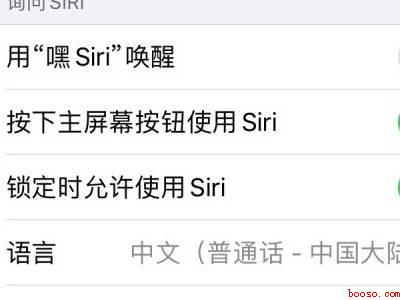 苹果手机智能语音叫啥