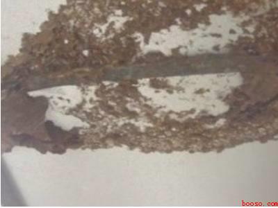 发现小型马蜂窝怎么办（小型马蜂窝怎么办的具体操作步骤）