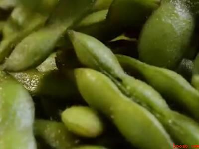 盐水毛豆怎么煮才绿呢