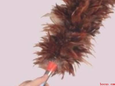 蜘蛛网怎么彻底清除