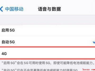 苹果13怎么切换4g和5g