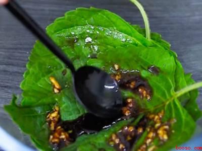 新鲜的紫苏叶怎么吃