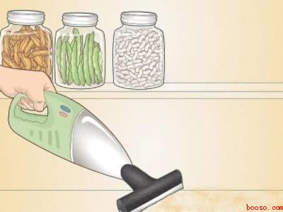 厨房粉螨怎么彻底去除