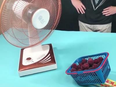 杨梅买太多了怎么保鲜