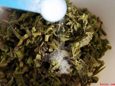 香椿芽怎样腌制好吃