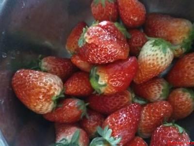 草莓果酒制作方法