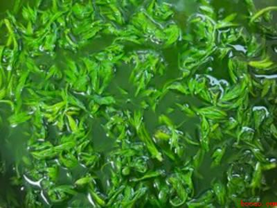 新鲜野艾蒿怎么吃