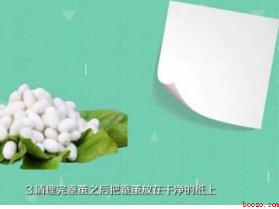 蚕茧怎么保存