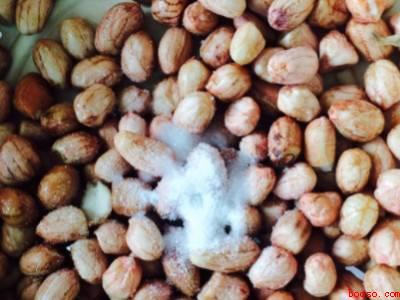 微波炉烤花生米几分钟（微波炉烤花生米几分钟的操作步骤）