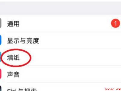 苹果手机设置壁纸