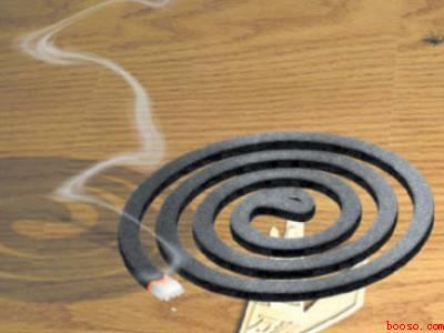 有小飞虫怎么消灭