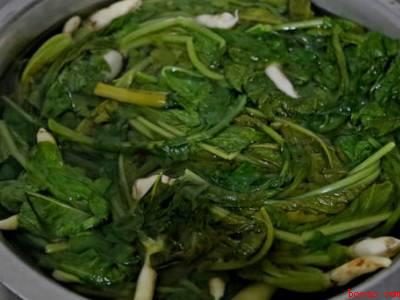 根达菜包饺子怎么做