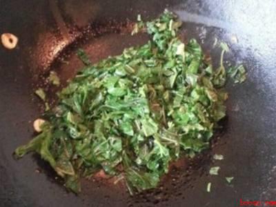 桑葚叶怎么做菜