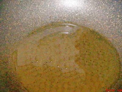 小青虾怎么炒才好吃