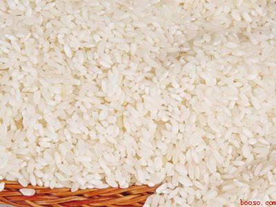 夏天大米里有小黑虫怎么办